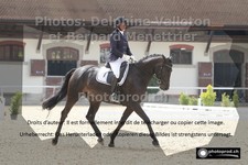 ref. photo 3222033