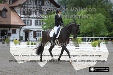 ref. photo 3222044