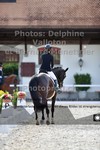 ref. photo 3222068