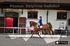 ref. photo 3222117