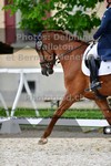 ref. photo 3222126