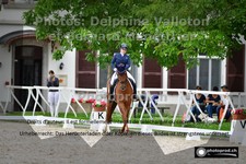 ref. photo 3222127