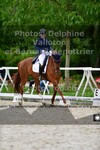 ref. photo 3222130