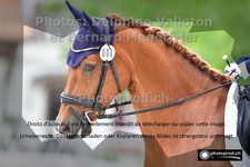 ref. photo 3222134