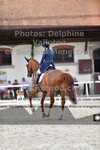 ref. photo 3222147