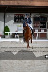 ref. photo 3222166
