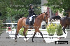 ref. photo 3222238