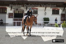 ref. photo 3222258