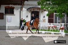 ref. photo 3222303