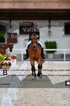 ref. photo 3222308