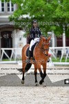 ref. photo 3222313