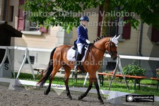 ref. photo 3222320