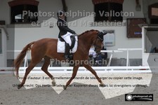 ref. photo 3222357