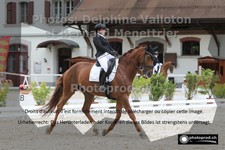 ref. photo 3222365