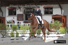 ref. photo 3222370