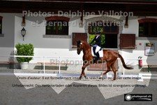 ref. photo 3222383