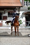 ref. photo 3222387