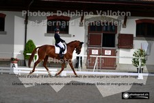 ref. photo 3222398