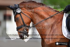 ref. photo 3222413
