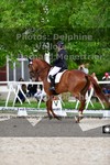ref. photo 3222430