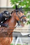 ref. photo 3222441