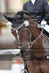 ref. photo 3222451