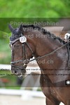 ref. photo 3222475