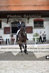 ref. photo 3222480