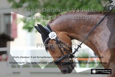 ref. photo 3222510