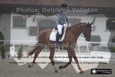 ref. photo 3222532