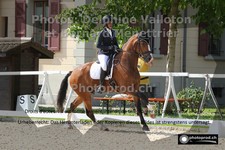 ref. photo 3222546