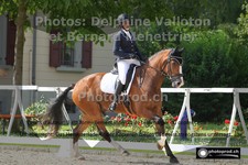 ref. photo 3222550