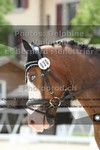 ref. photo 3222561