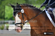 ref. photo 3222582