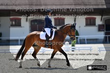ref. photo 3222584
