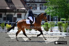 ref. photo 3222585
