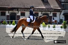 ref. photo 3222595