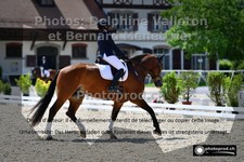 ref. photo 3222596