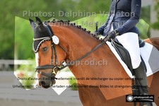 ref. photo 3222621