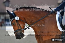 ref. photo 3222633