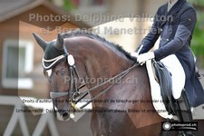 ref. photo 3222741