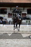 ref. photo 3222758