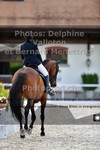 ref. photo 3222794