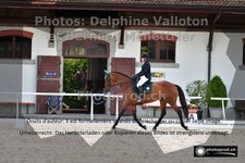 ref. photo 3222807