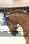 ref. photo 3222853