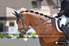 ref. photo 3222906