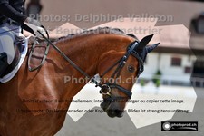 ref. photo 3222937