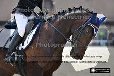 ref. photo 3223037