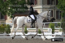 ref. photo 3223126