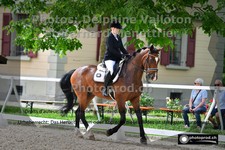ref. photo 3223156